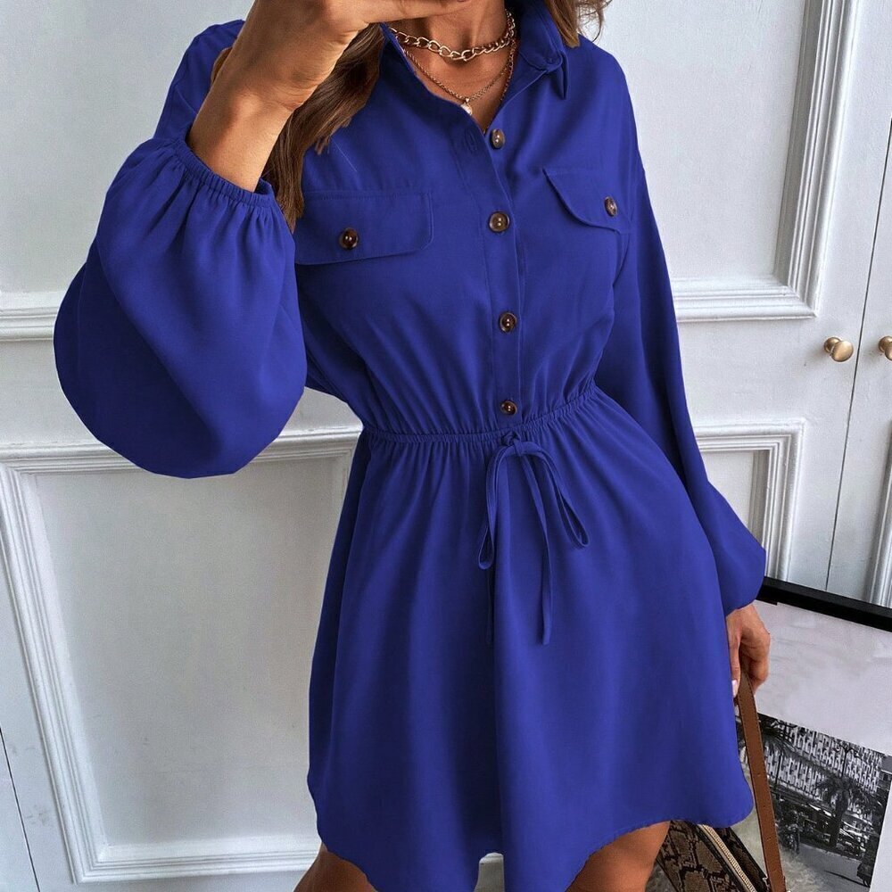 Blue Casual Women's Flap Detail Lantern Sleeve Shirt Dress Without Belt - Picture 5 of 7